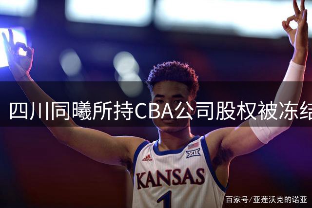 四川同曦所持CBA公司股权被冻结