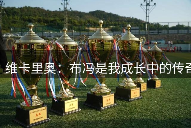 维卡里奥：布冯是我成长中的传奇，加盟尤文是梦想
